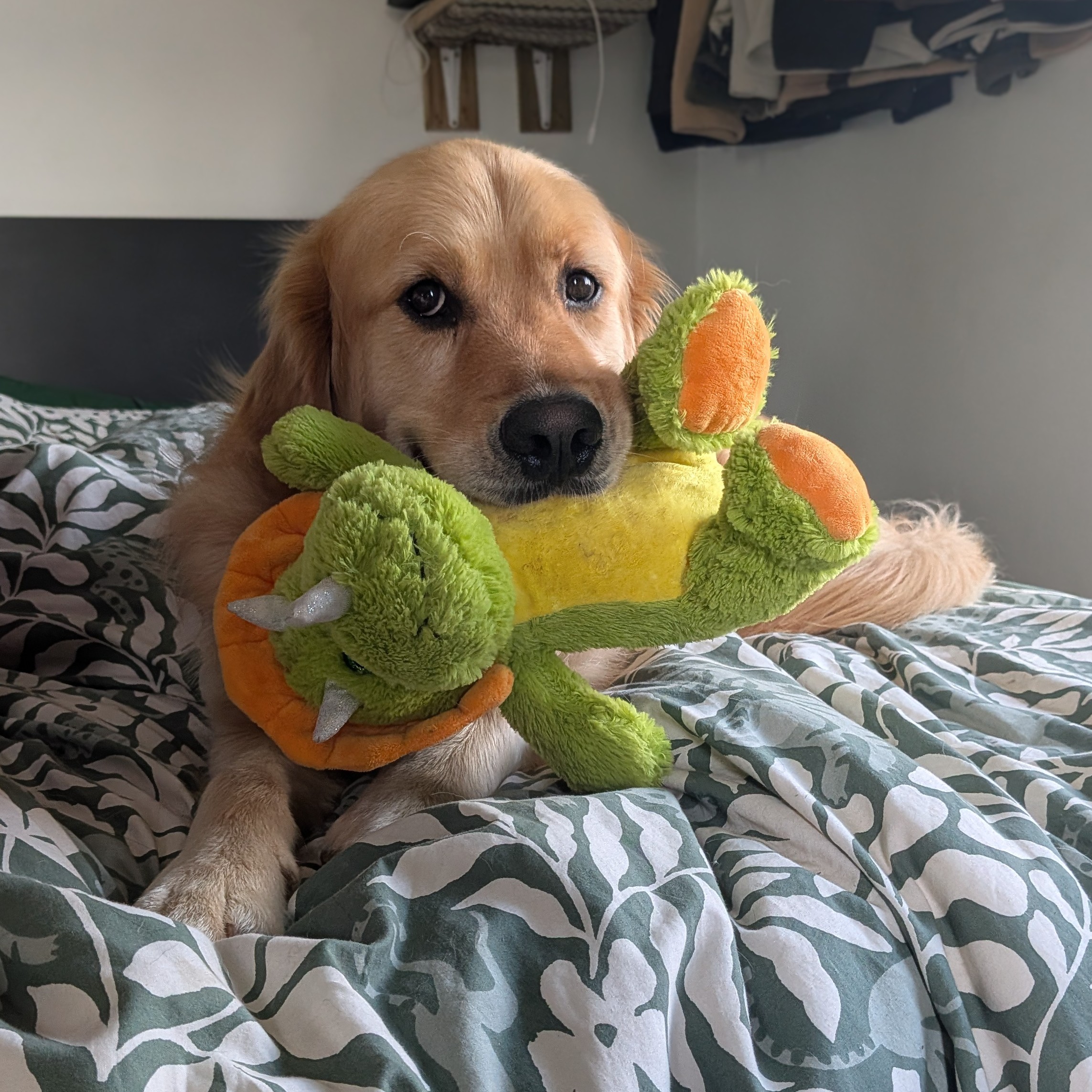 George
