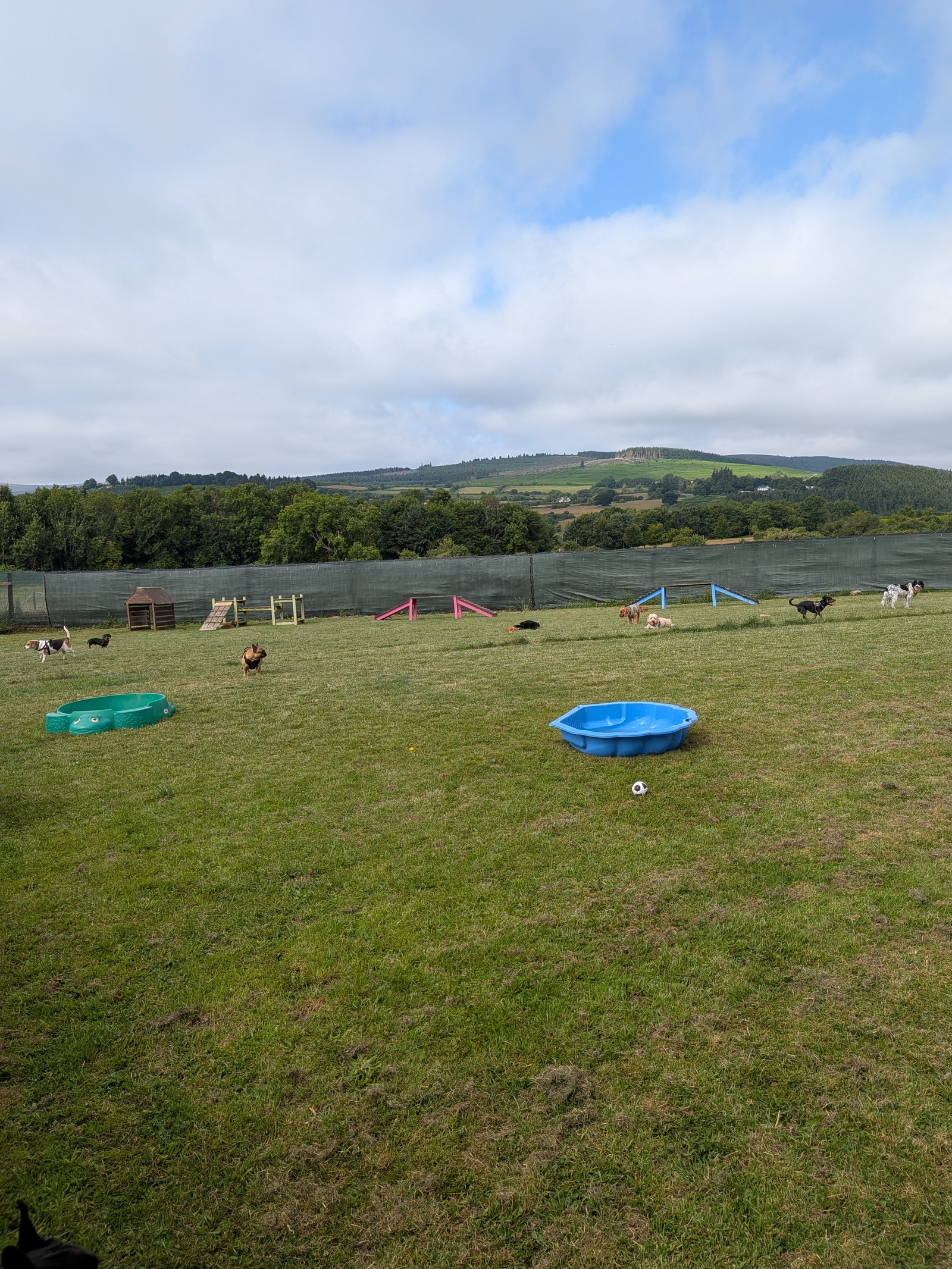 Camp Mikey park