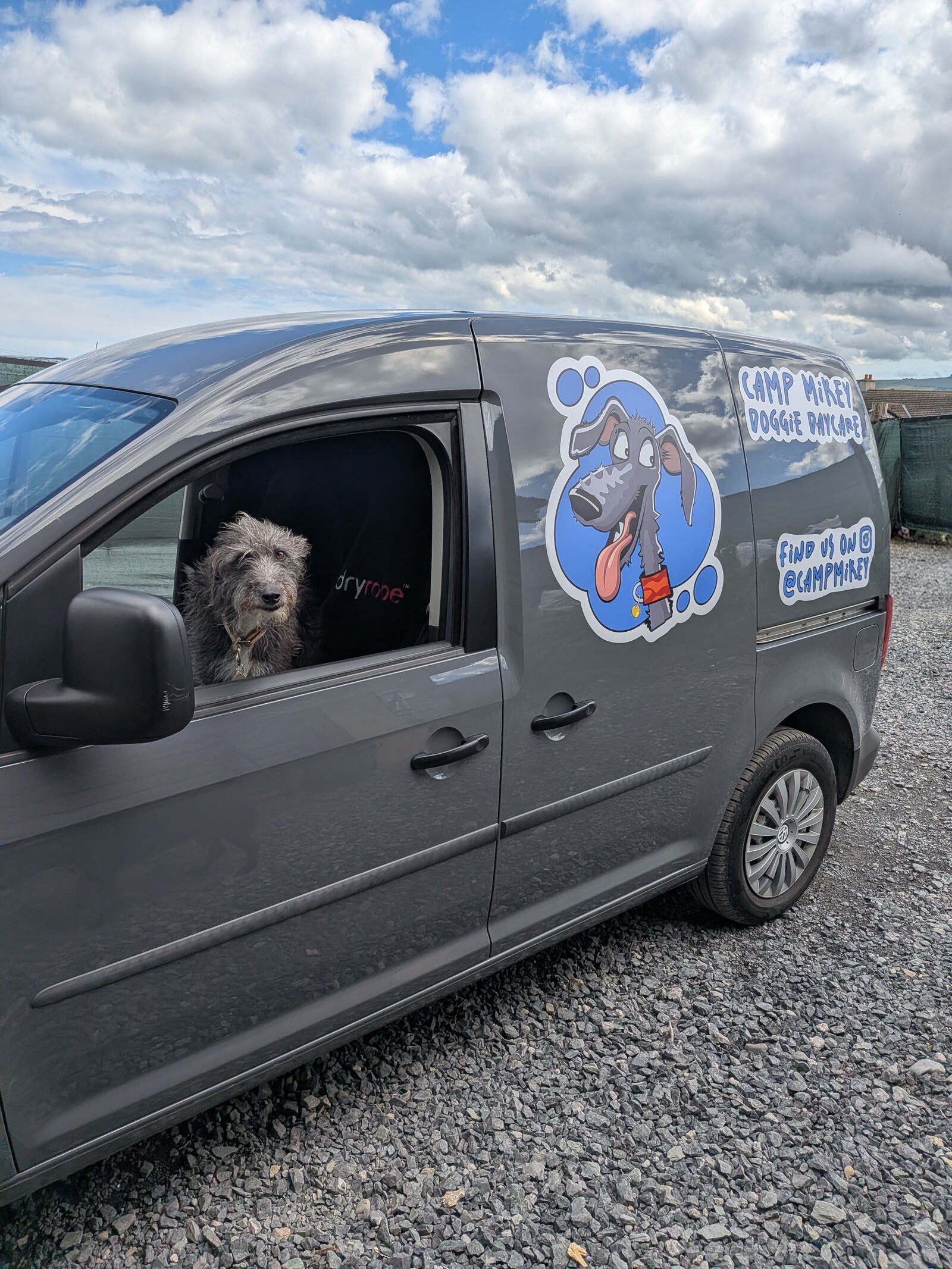 Camp Mikey dog bus